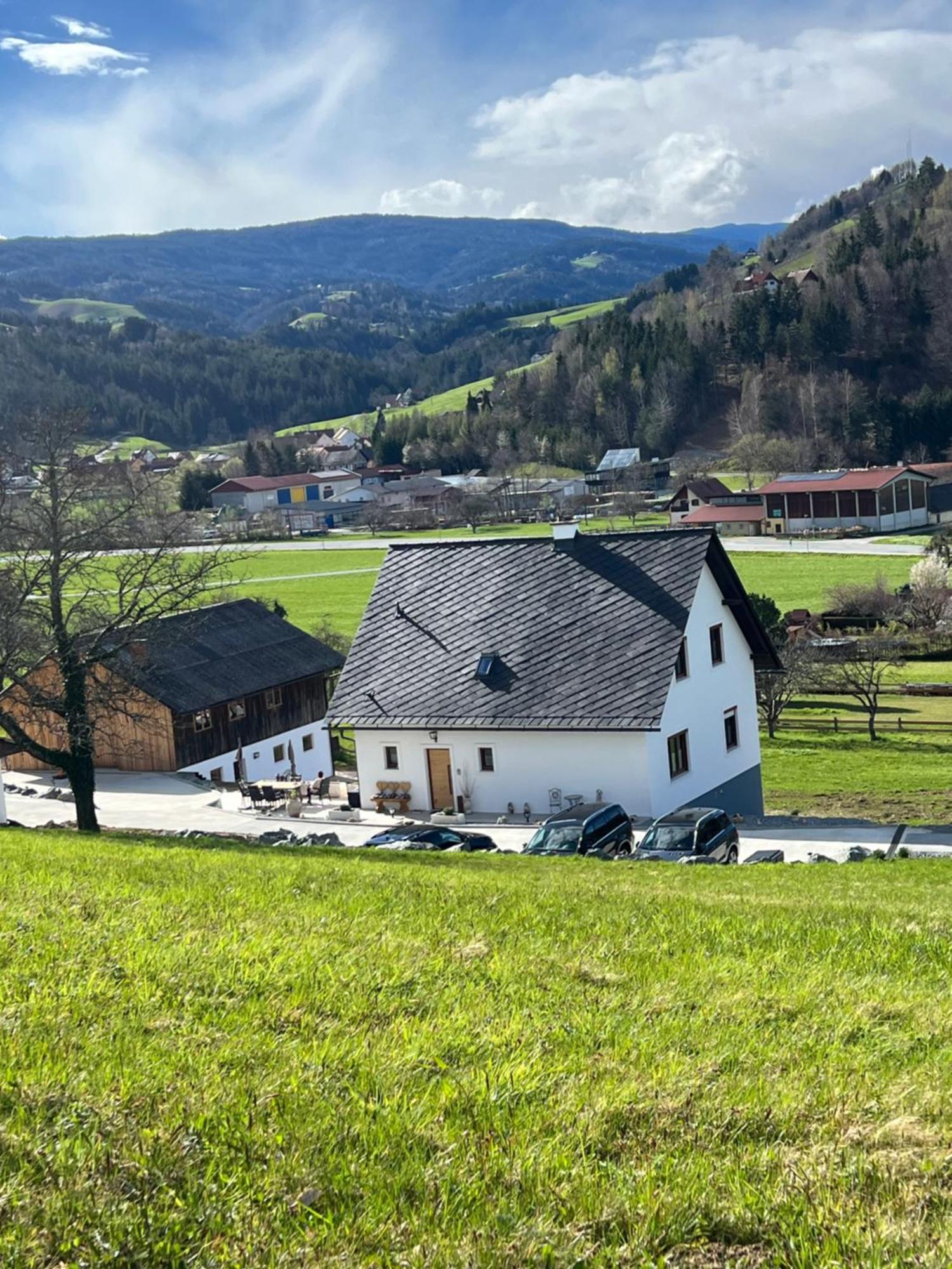 Sonnenschein Appartement- Und Ferienhaus Mit Terrasse Und Garten Eibiswald Extérieur photo